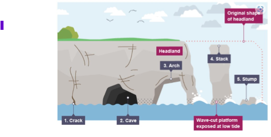 <ol><li><p><u>Cracks</u> widened in the headland through HA and AB</p></li><li><p>Waves continue to <u>grind</u> away at the crack, opening up to form a <u>cave</u></p></li><li><p>Cave becomes larger and eventually <u>breaks</u> through the <u>headland</u> to form an<u> arch</u></p></li><li><p><u>Base of arch</u> continually widens through further erosion</p></li><li><p>Arch <u>roof</u> becomes too heavy and <u>collapses</u> into the sea, leaving a <u>stack</u></p></li><li><p>The stack is <u>undercut</u> at the<u> base</u> until it collapses to form a <u>stump</u></p></li></ol><p></p>