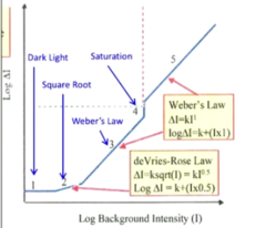 <p>Weber's Law Region 5: What is the weber fraction for photopic vision?</p>