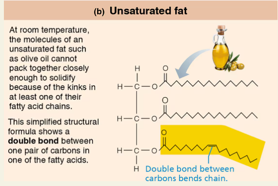 <p><span style="background-color: transparent;"><strong> Unsaturated fatty acids</strong></span></p>