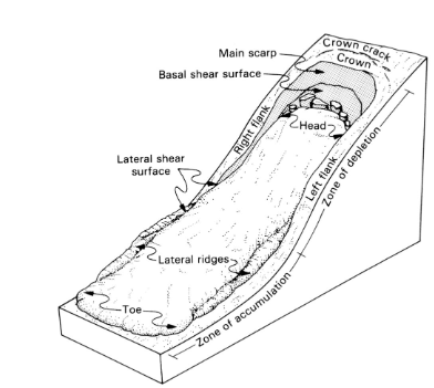 <p>• Generally, earth flows are shallower than slumps</p>