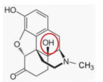 <p>[OPIOIDS]</p><p>a. Naloxone</p><p>b. Naltrexone</p><p>c. Methylnaltrexone</p><p>d. Oxycodone</p><p>e. Oxymorphone</p>