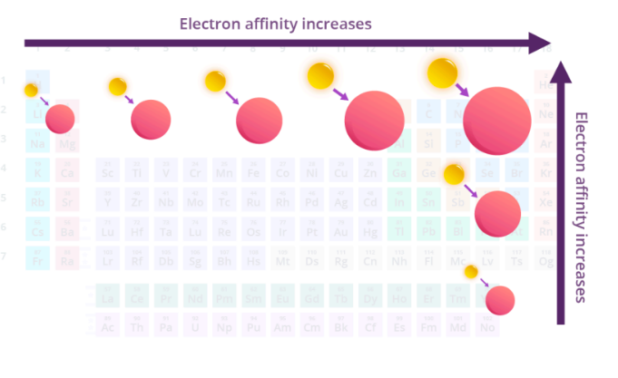 <ul><li><p>amount of energy released when e<sup>-</sup> is added to an atom</p></li><li><p>increases from L to R across a period and increases going up a group</p></li><li><p>exceptions</p><ul><li><p>half-filled / filled orgitals have lower EA</p><ul><li><p>group 2 < group 1 (ex: Ca < K)</p><ul><li><p>group 2 has filled s-orbitals</p></li></ul></li><li><p>group 15 < group 14 (ex: P < Si)</p><ul><li><p>group 15 has half-filled p-orbitals</p></li></ul></li></ul></li><li><p>Noble gases have very low EA</p><ul><li><p>fillled electron shells</p></li></ul></li></ul></li></ul><p></p>