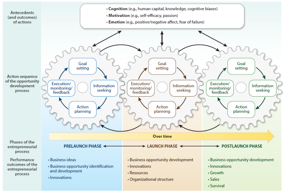 <p>antecedents and outcomes of actions:</p><ul><li><p>cognition (human capital, knowledge, cognitive biases)</p></li><li><p>motivation (self-efficiany, passion)</p></li><li><p>emotion (positive/negative affect, fear of failure)</p></li></ul><p>action sequence of the opportunity development process:</p><ul><li><p>goal setting → information seeking → action planning → execution/monitoring/feedback → goal setting</p></li><li><p>function as mediators, as they transmit the antecedents</p></li></ul><p></p>