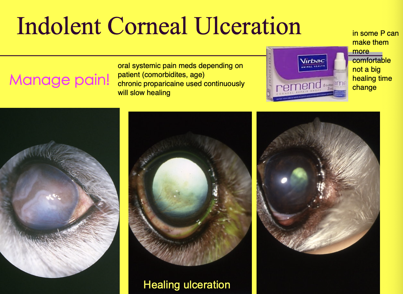 <p>Debridement w/ removal of loose epithelial edges.</p><p>Manage pain - systemic v. atropine on surface v.</p><p>Punctate and grid keratotomy or Burr keratotomy.</p>