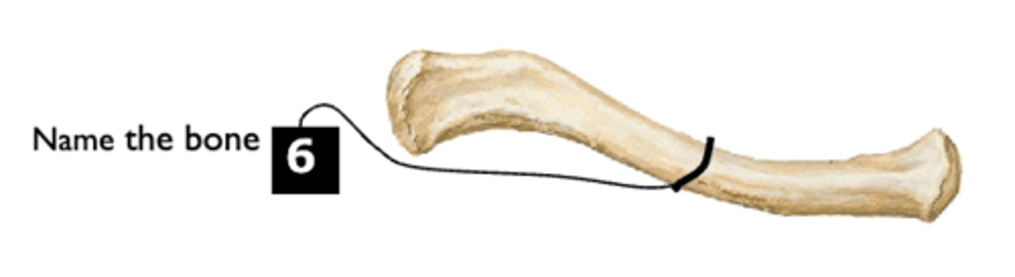 <p>6</p>