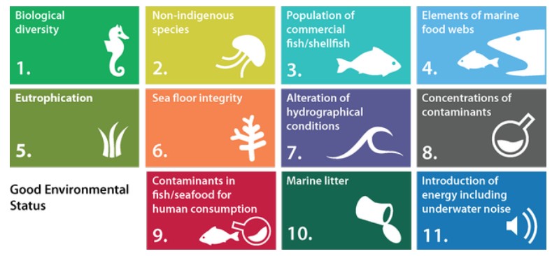 <ul><li><p>The MSFD is the EU framework for achieving “Good Environmental Status” (GES) in marine waters</p></li><li><p>Descriptor 11 regulates underwater noise</p></li><li><p>Includes monitoring of continuous and impulsive noise and setting environmental threshold values</p></li></ul><p></p>