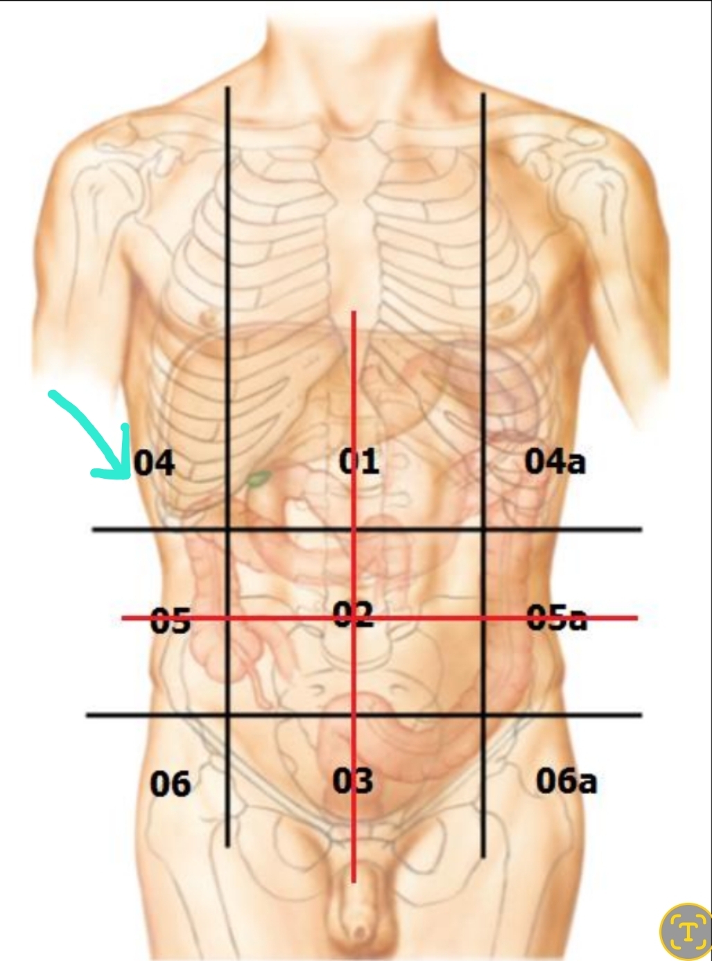 <p>Qual é o nome?</p>