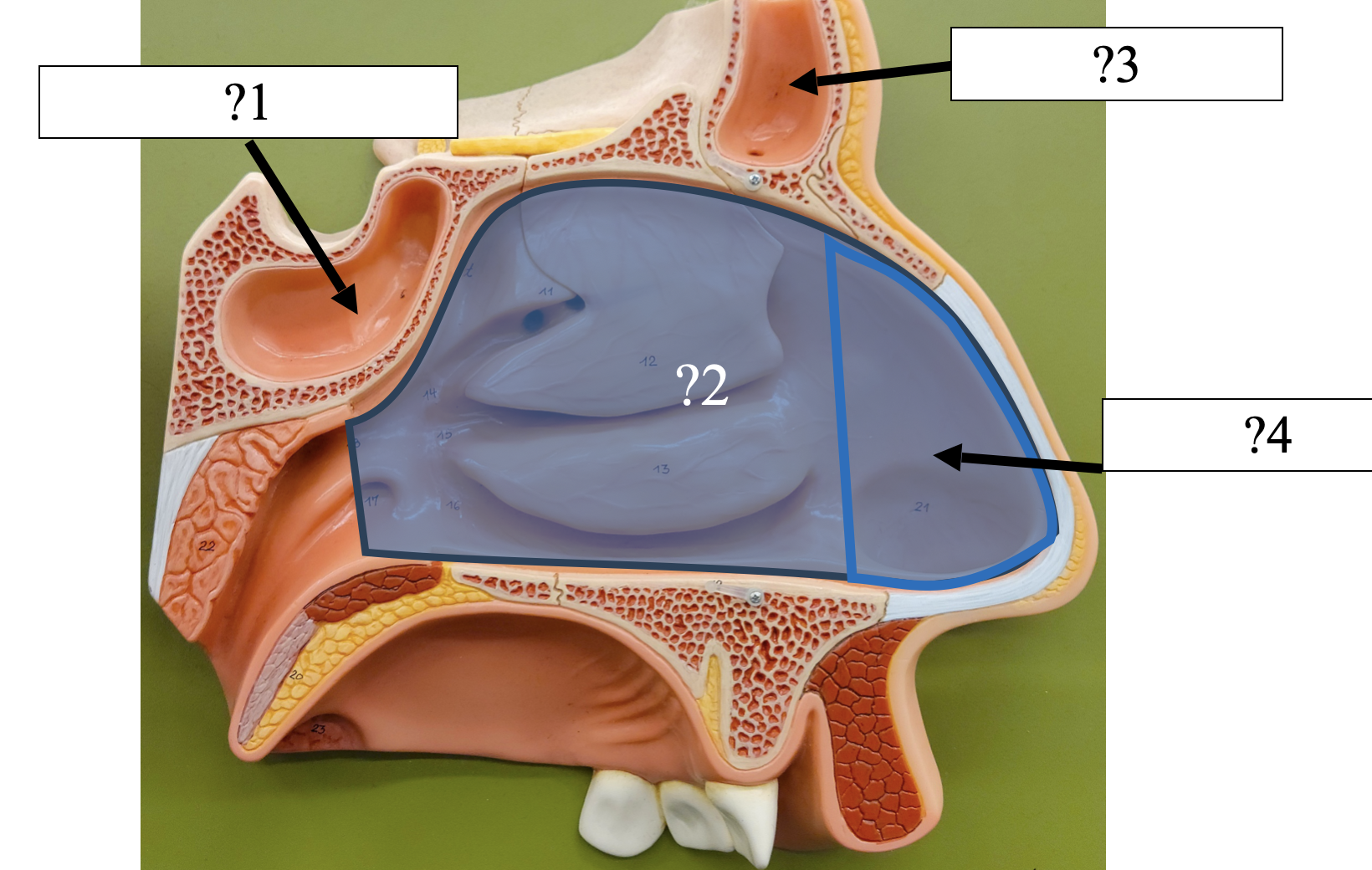 <p>3 Name the space?</p>