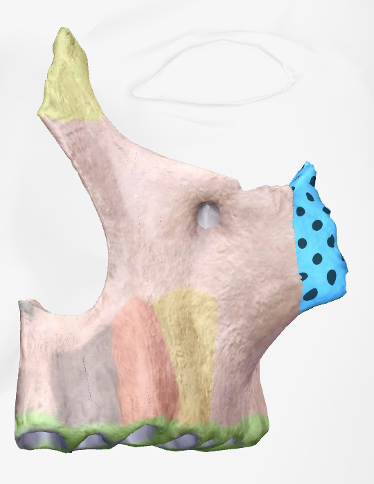 term image