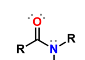 <p>carboxylic acid w/ amine instead of -OH; forms hydrogen bonds; formed by condensation reaction between carboxylic acid and amines; named by replacing -oic acid w/ -amide </p>