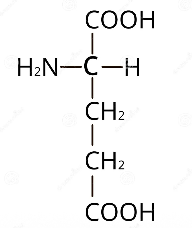 <p>what amino acid</p>