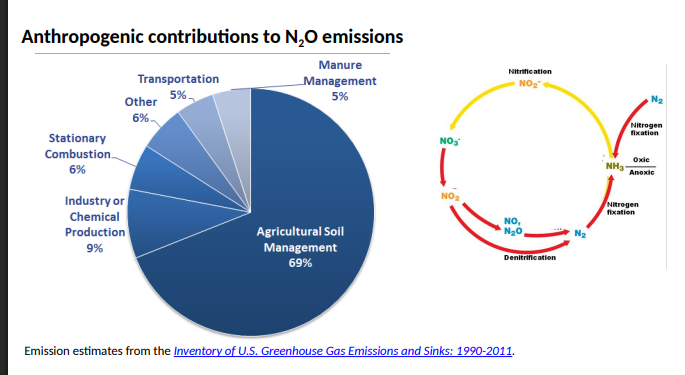 <p>Anthropogenic contributions to N2O emissions</p>