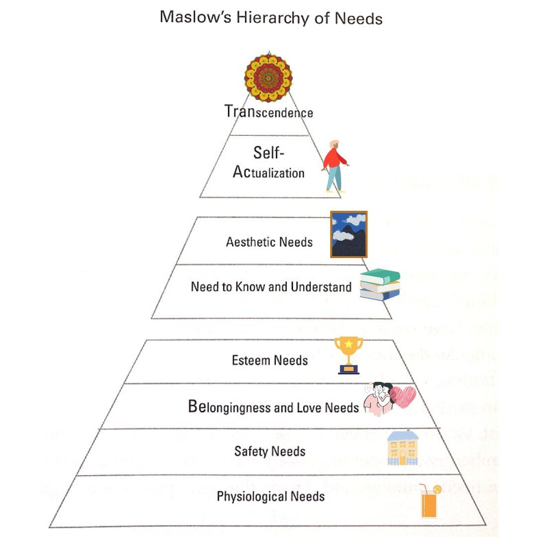 <p>Maslows’s arrangement of needs in which basic survival needs must be met before people can satisfy higher needs</p><ul><li><p>physiological needs </p></li><li><p>safety needs </p></li><li><p>love and belonging </p></li><li><p>Esteem</p></li><li><p>Self actualization</p></li></ul><p></p>