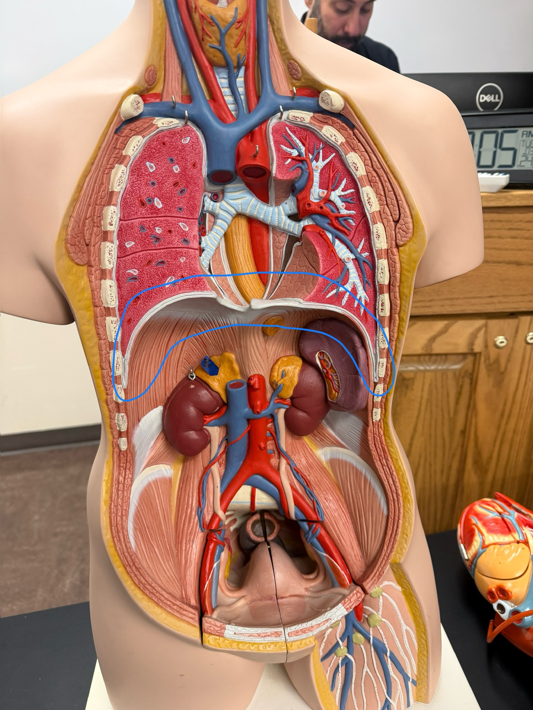 <p>name this structure</p>