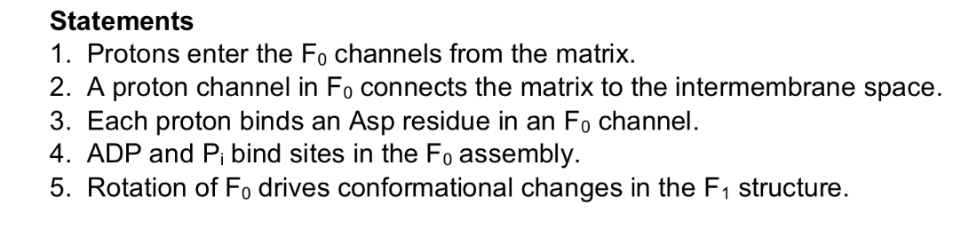 <p>What are true statements about the function of the F1F0 ATP synthase?</p>