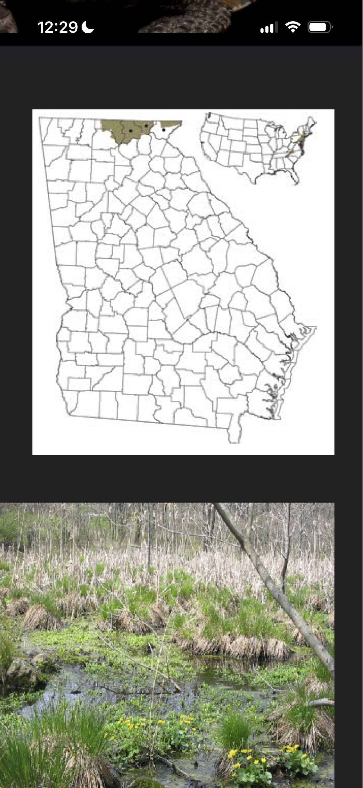 <p>Confined to blue ridge wetlands </p><p>Spring seeps, bogs, fens, wet meadows, and marshes </p><p>Lay eggs in sphagnum mounds </p><p></p>