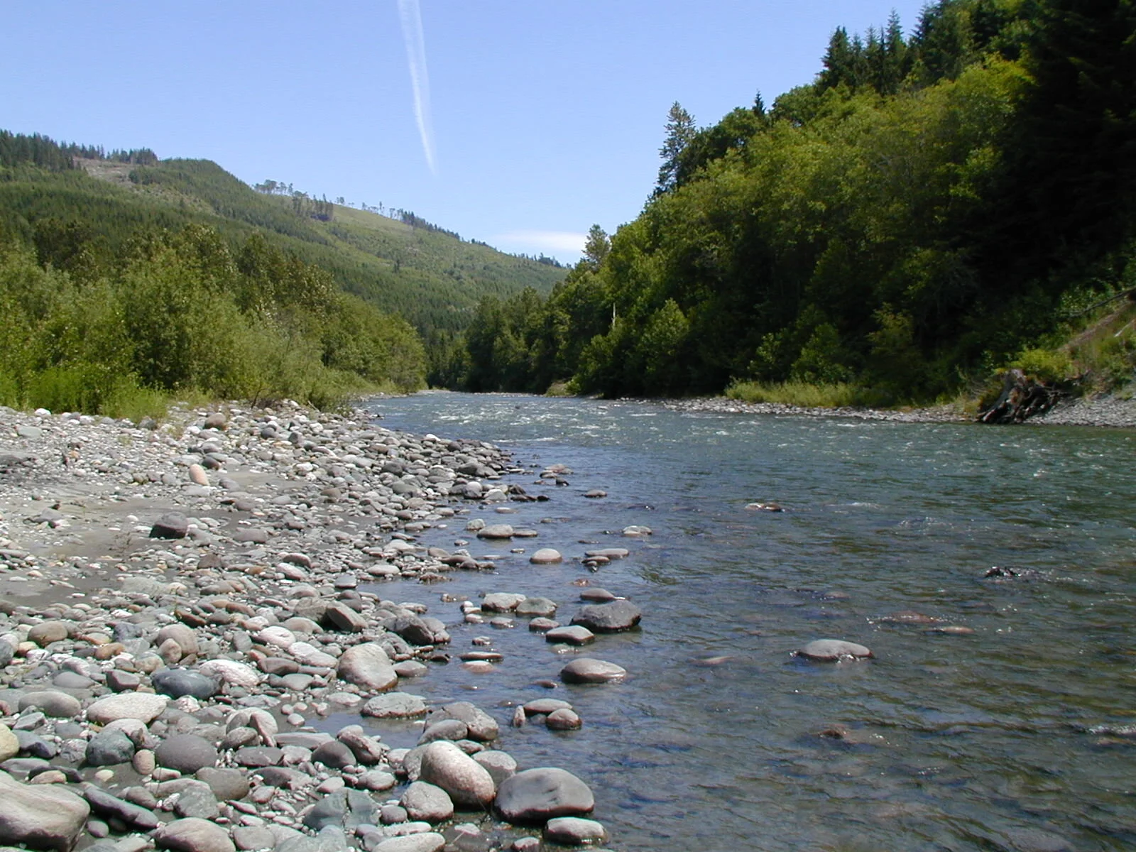 <p>Alluvial Channels are loosely consolidated sediment </p><ul><li><p>a natural watercourse with a bed and banks composed of loose, erodible sediment (alluvium) transported by the stream itself</p></li></ul><p></p>
