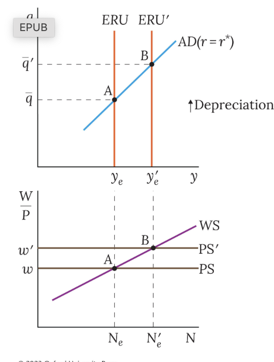 <p>+ve supply shock on medium run exchange rate <br>(vertical ERU)</p>