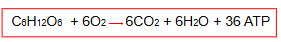 <p>Glucose + Oxygen Carbon dioxide + water + ATP</p>