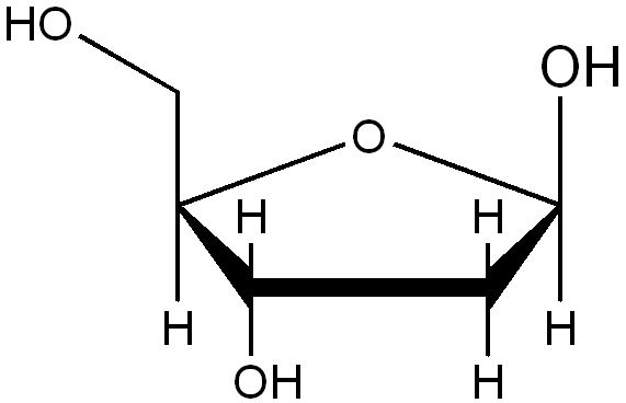 <p>Differs at C2</p>
