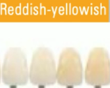 <p>VITA hue category that is REDDISH YELLOW</p>