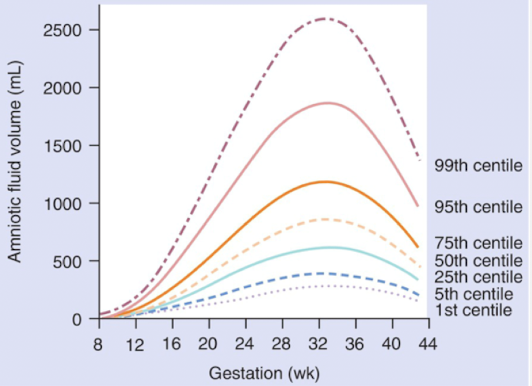 <ul><li><p>amount of fluid is a balance between production and consumption</p></li><li><p>volume of AF increases until about 33 weeks</p><ul><li><p>25 mL per week (11w-15w) </p></li><li><p>50 mL per week (15w-28w)</p><ul><li><p><span style="color: yellow;">volume doubles until week 28</span> (declines after that)</p></li></ul></li></ul></li></ul><ul><li><p><span style="color: red;">adequate volume is critical for lung development</span></p></li><li><p>by the end of pregnancy there is sharp decline in amount of amniotic fluid</p></li></ul><p></p>