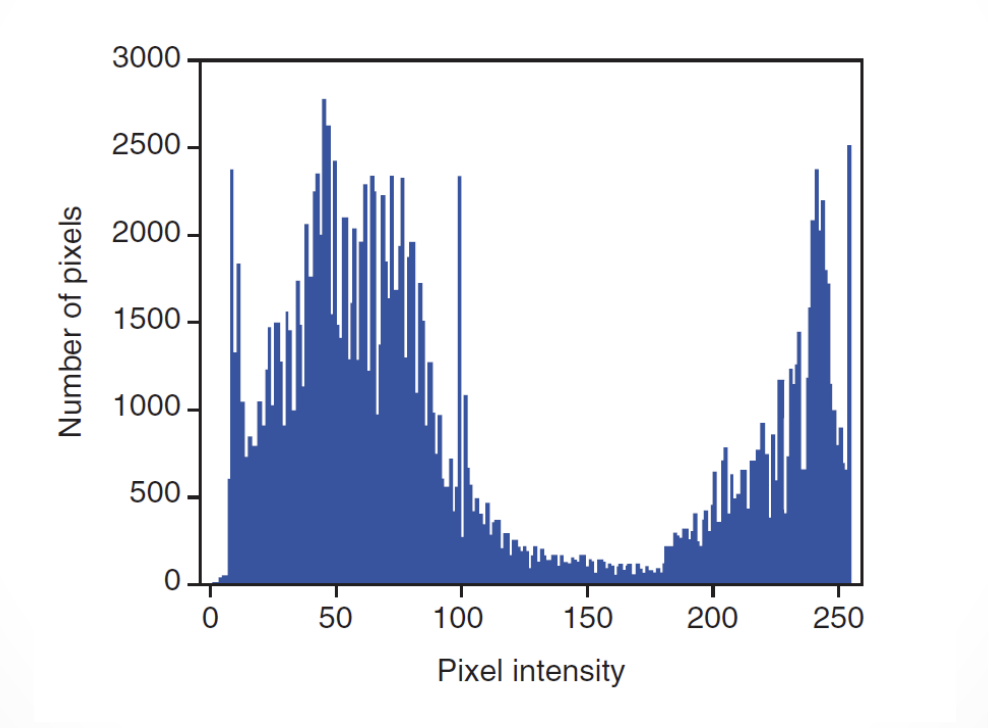 <ul><li><p>A graphical representation of exposure values collected from the imaging plate</p><ul><li><p>Horizontal axis - tone values</p></li><li><p>Vertical axis - number of pixels in each tone</p></li><li><p>Values on one end represent the black areas (greater acquired signals)</p></li><li><p>Tones vary toward the opposite end and get brighter and the middle area is the medium tones</p></li><li><p>The extreme opposite end represents the white tones (no acquired signals)</p></li></ul></li></ul><p></p>
