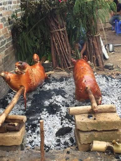 <p>roast (v) <span>/rəʊst/</span></p>