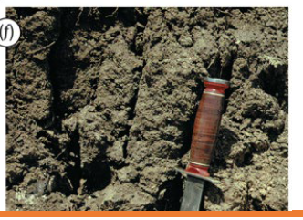 <p>Identify the structure</p>