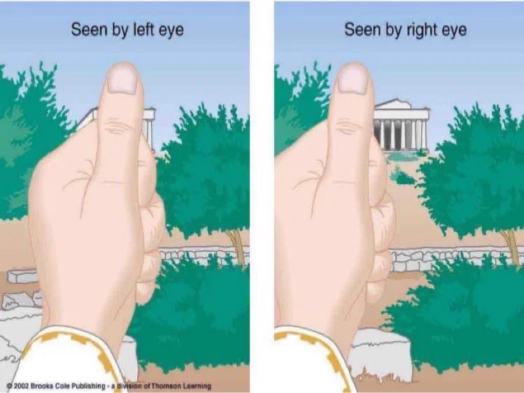 <p>Refers to the <strong>very slight difference in the location of the images on the retinas</strong>, which enables us to make j<strong>udgements about the depth or distance of an object. Each retina receives a slightly different image because our eyes are 6 to 7 centimetres apart</strong></p>