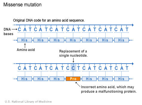 <p>A base pair substitution that changes the codon to encode for a different amino acid.</p>