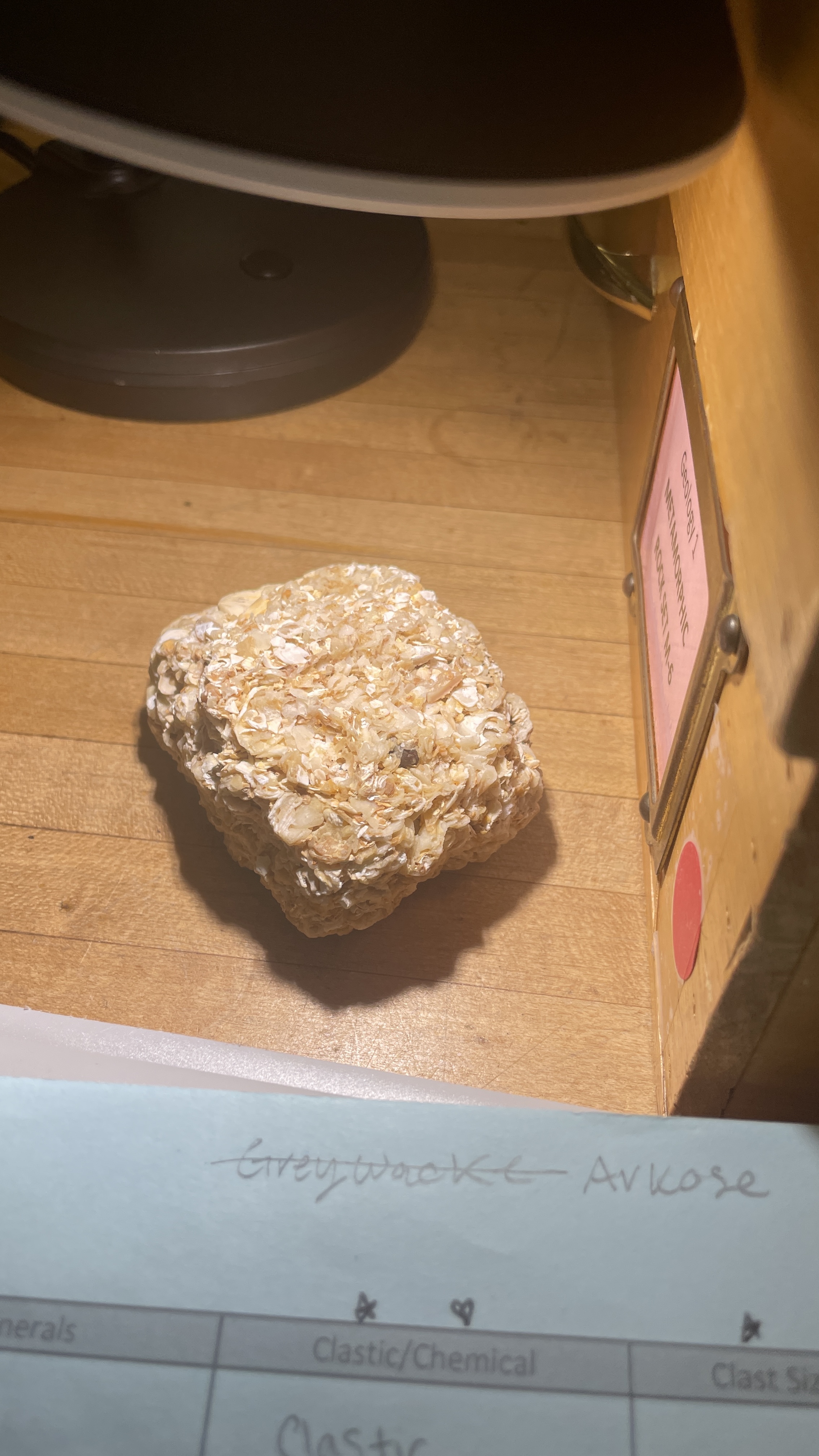 <p>Coquina (Limestone)</p>