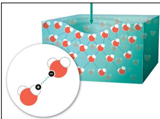 <p>Surface tension, net-like properties</p>
