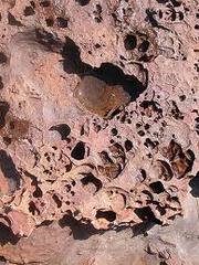 <p>rain and storms and weathering break down rocks and minerals on the earth surface, phosphorus travels into soil and water sources</p>