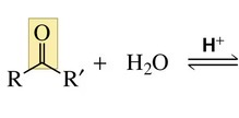 <p>Reaction of an aldehyde or a ketone with water forms…</p>