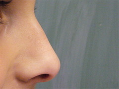 <p>nose</p>