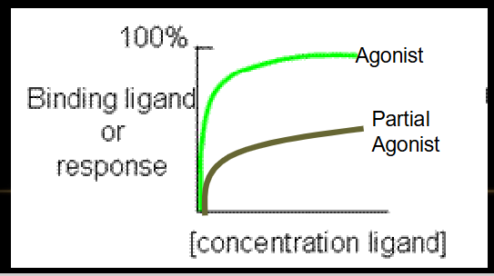 <ul><li><p><span>Endogenous function: controlled by endogenous agent which stimulates/is a substrate of a receptor/enzyme.</span></p><ul><li><p><span>Effect is proportional to the concentration of the agent.</span></p></li></ul></li><li><p><span>Agonist does the same thing, but may be more potent </span></p></li><li><p><span>Drug conc is proportional to its pharmacological effect based on a certain affinity and maximal response</span></p></li></ul><p></p>