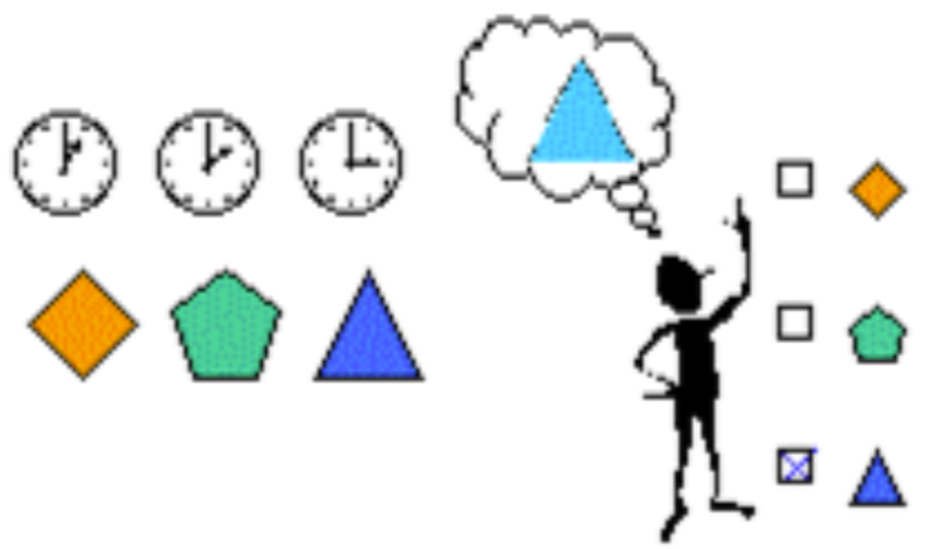 <p>Recency effect</p>