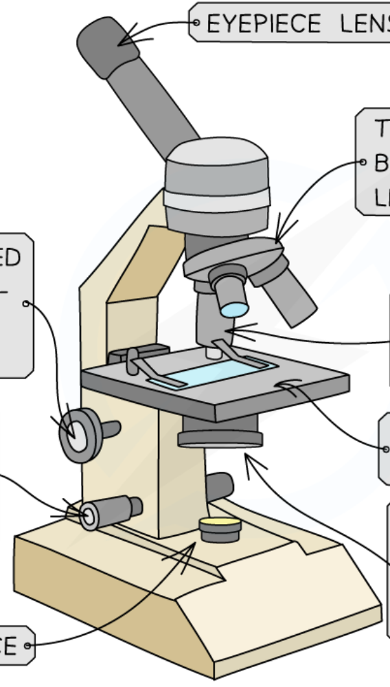 <p>What are each of these labels referring to?</p>