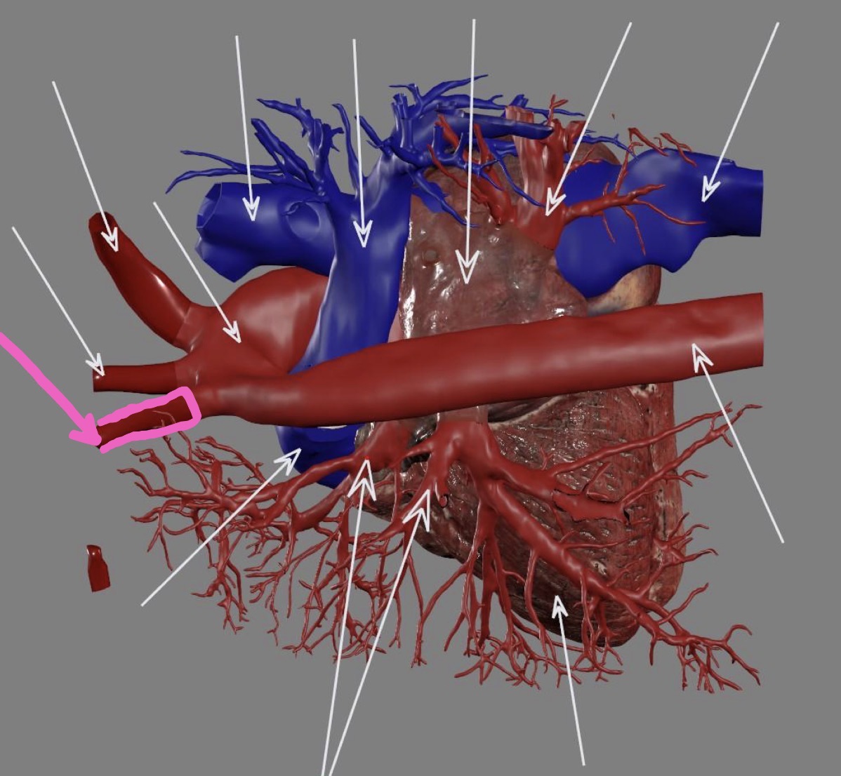 <p>What’s the highlighted area?</p>