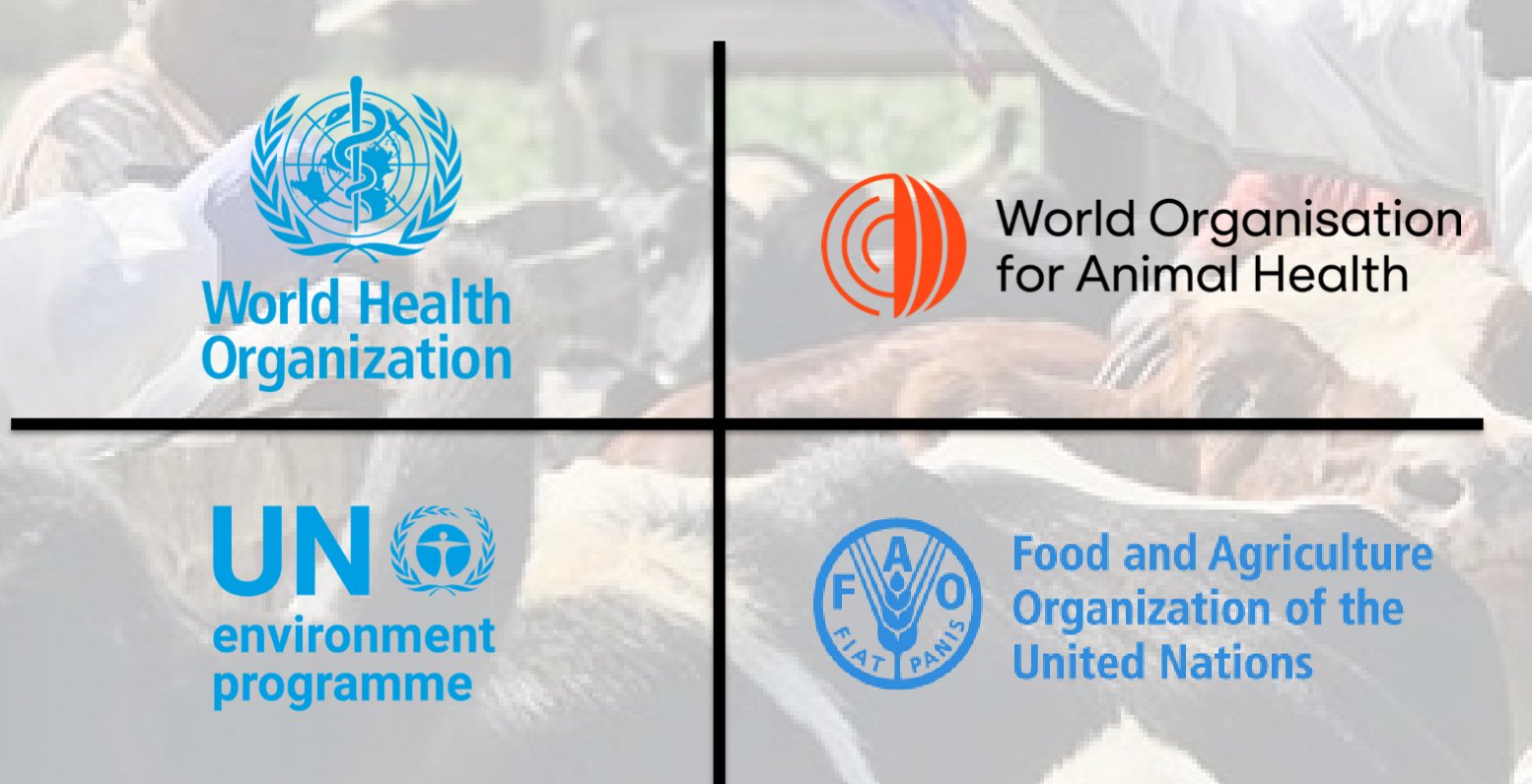 <p>the FAO-OIE-WHO-UNEP (quadripartite) is an intergovernmental example of implementing one health. </p><p>.</p><p>describe what they do</p>