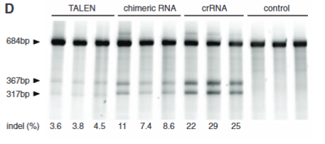 <p>Explain fig 3D Cong</p>