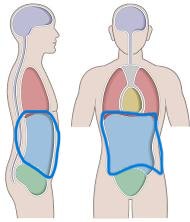 the space bounded by the abdominal walls