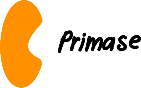 <p>What is the function of <strong>Primase</strong>?</p>