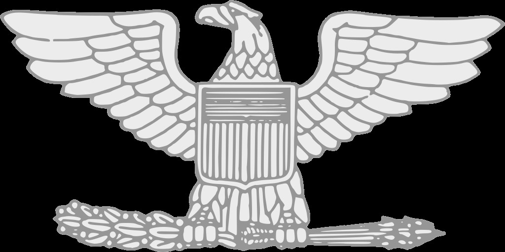 <p>One silver eagle</p>