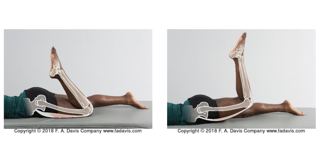 <p>Active insufficiency of hamstrings or passive insufficiency of RF </p>
