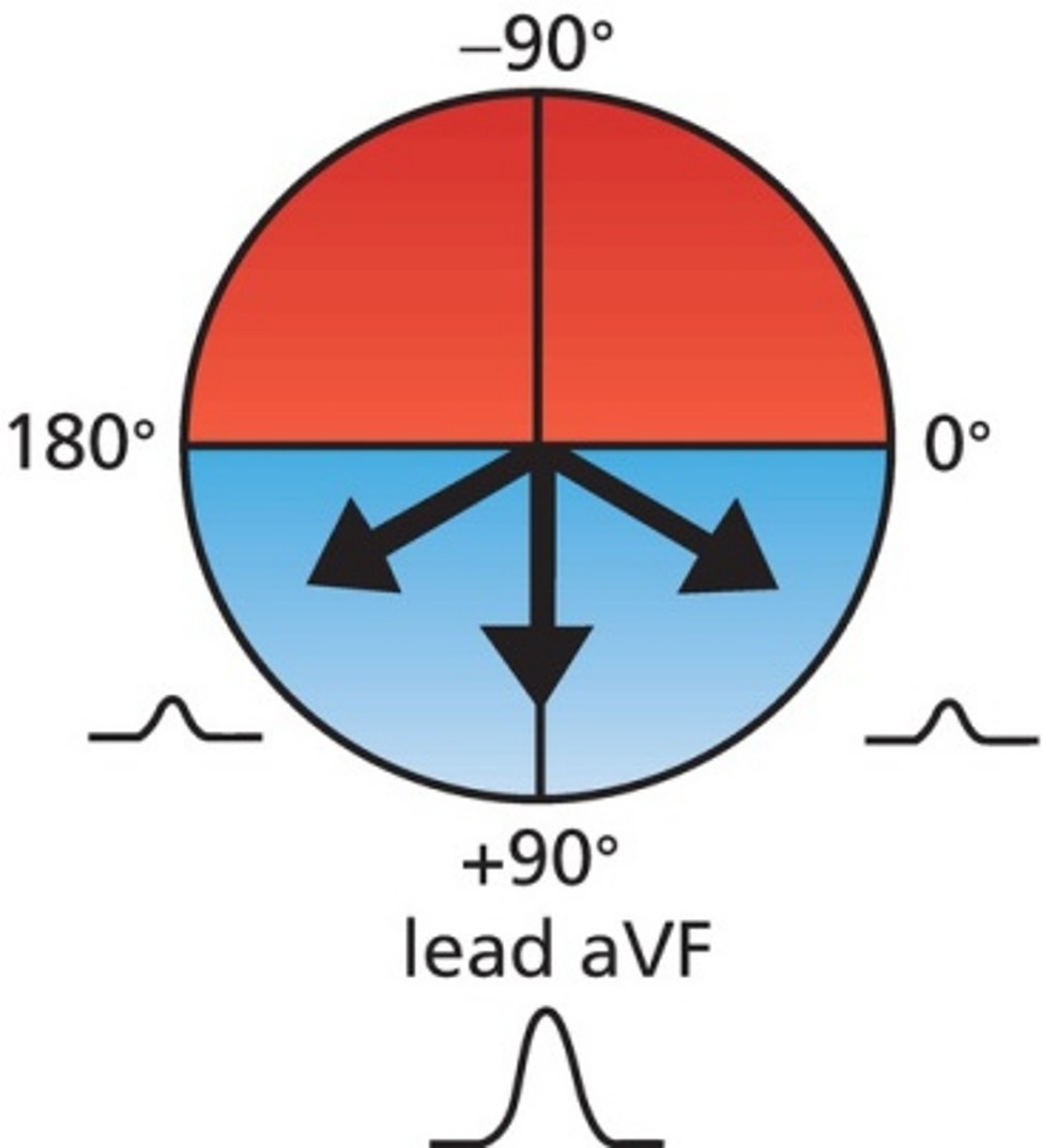 <p>Normal if axis is between 0° and 180°</p>