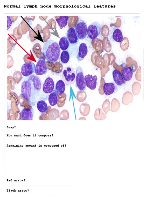 <p><span><strong>LN Cytology</strong></span></p>