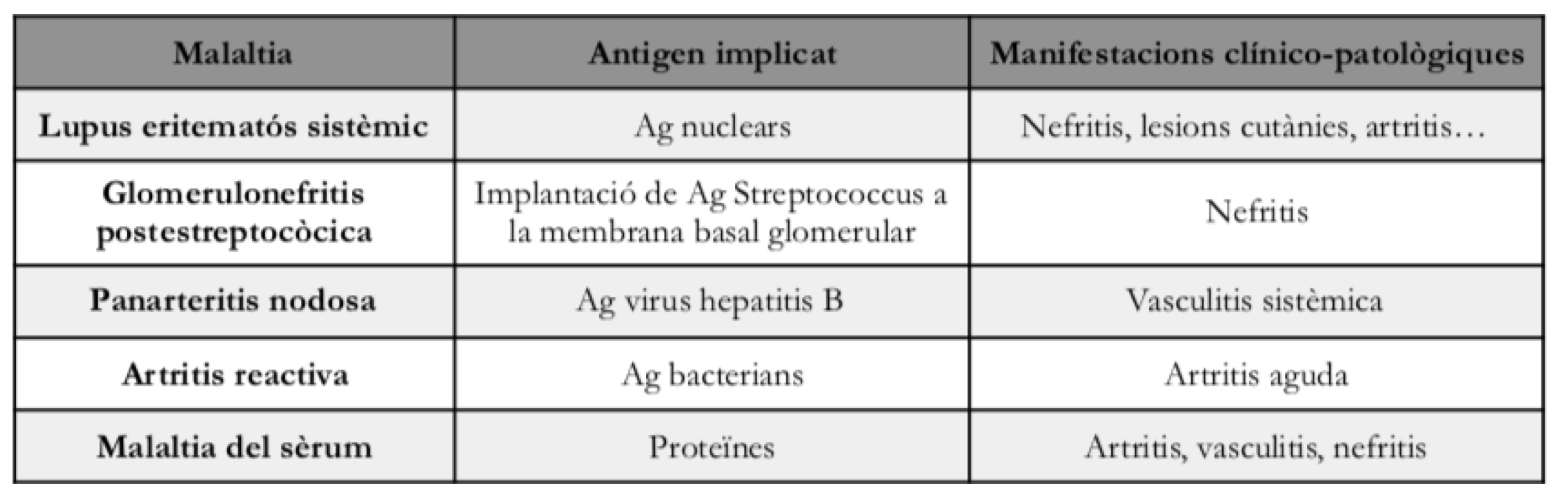 <p>En aquest cas els moduladors immunitaris també són anticossos però actuen formant immunocomplexos. Aquests són combinacions d’antígens (ja sigui exògens o endògens) i anticossos (en circulació). El medidos inmunitario: normalmente IgG, IgM y IgA</p><p>MECANISMO GENERAL: </p><ul><li><p>Formació d’immunocomplexes: l’anticòs es combina amb un ecés d’antígen soluble i es formen quantitats de complexes ag – anticòs (immunicomplexes)</p></li><li><p>Depòsit d’immunicomplexes en diversos teixits: Immunocomplexes s’allotgen a diferents teixits fixes. </p></li><li><p>Reacció inflamatòria en diverses localitzacions per tot l’organisme: el depòsit d’immunicomplexes activa cascada del complement i receptors FC. Hi ha un reclutament de neutròfils monòcits i una posterior activació de la reacció d’Inflamació i dany tissular </p></li></ul><p>Aquestes reaccions poden aparèixer en diferents teixits i òrgans del nostre cos però són més freqüents en la sang (vasculitis) on provoquen necrosis fibrinoide</p><p>TABLA </p><p>LUPUS ERITEMATOSO: Se da un fallo en mecanismos que mantienen la autotolerancia, intervienen factores geneticos y ambientales. </p><p></p>