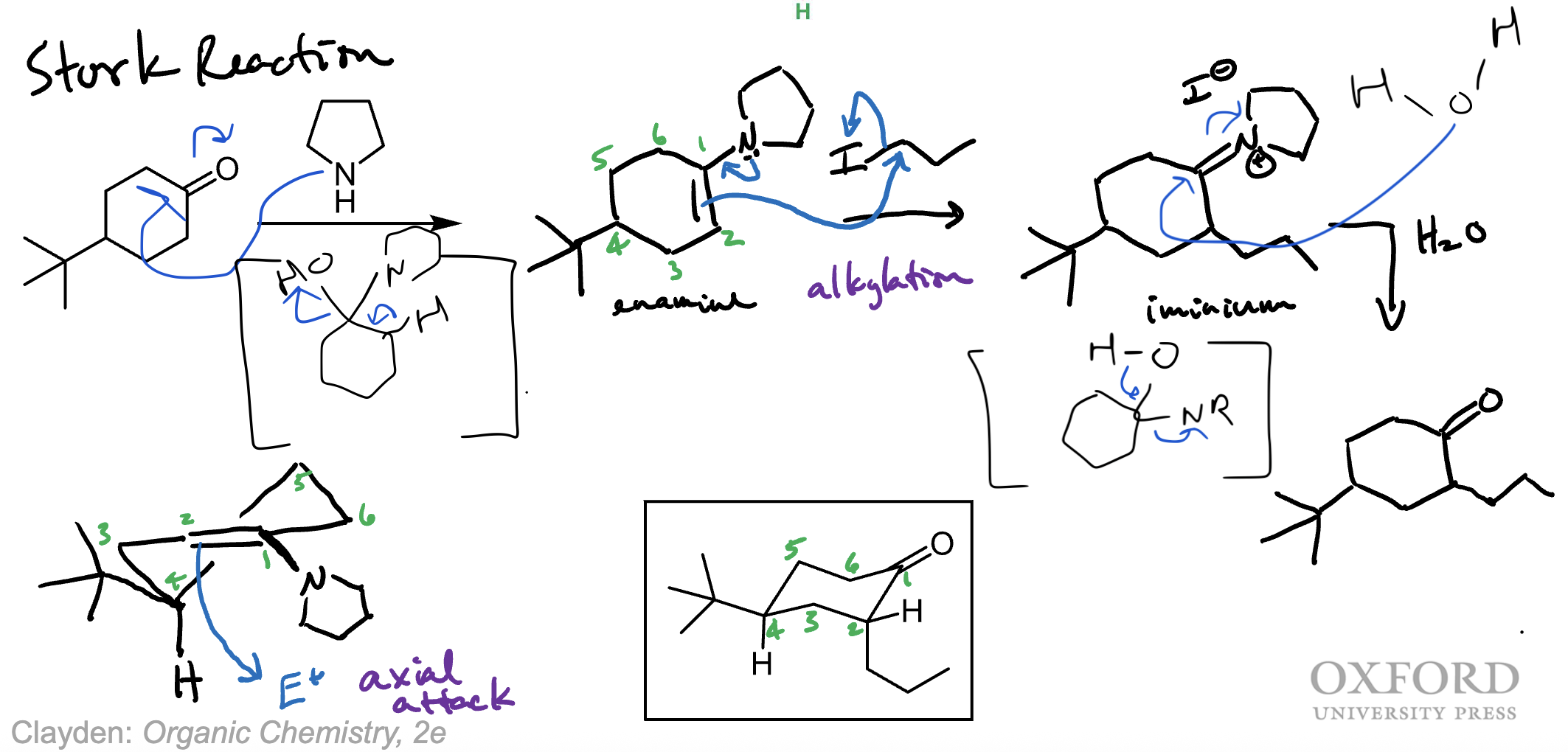 knowt flashcard image